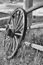 WEB-FAV-0006-wagon-wheel